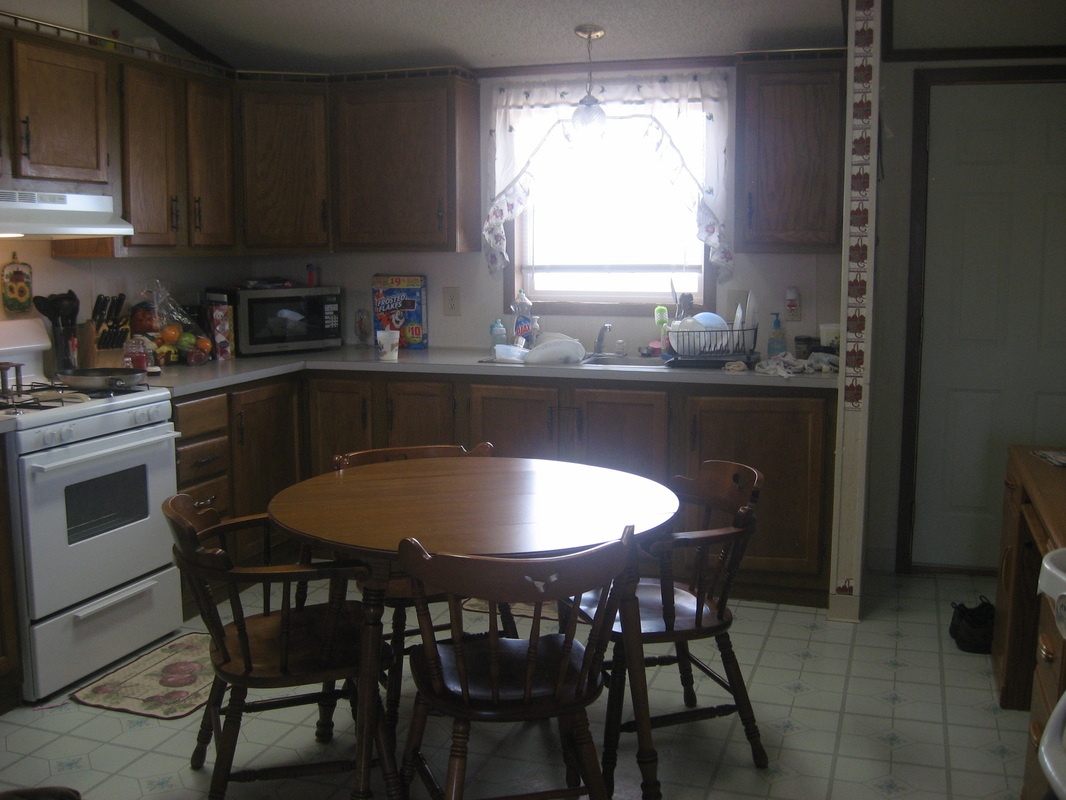 Elmwood Village kitchen