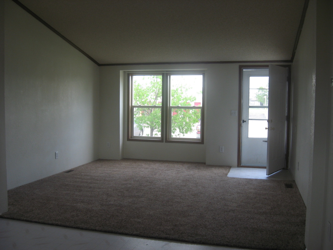 Elmwood Village living room
