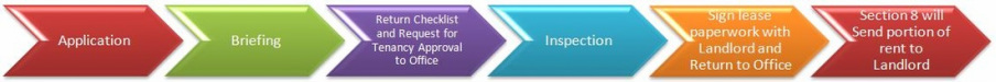 Section 8 Process Infographic
